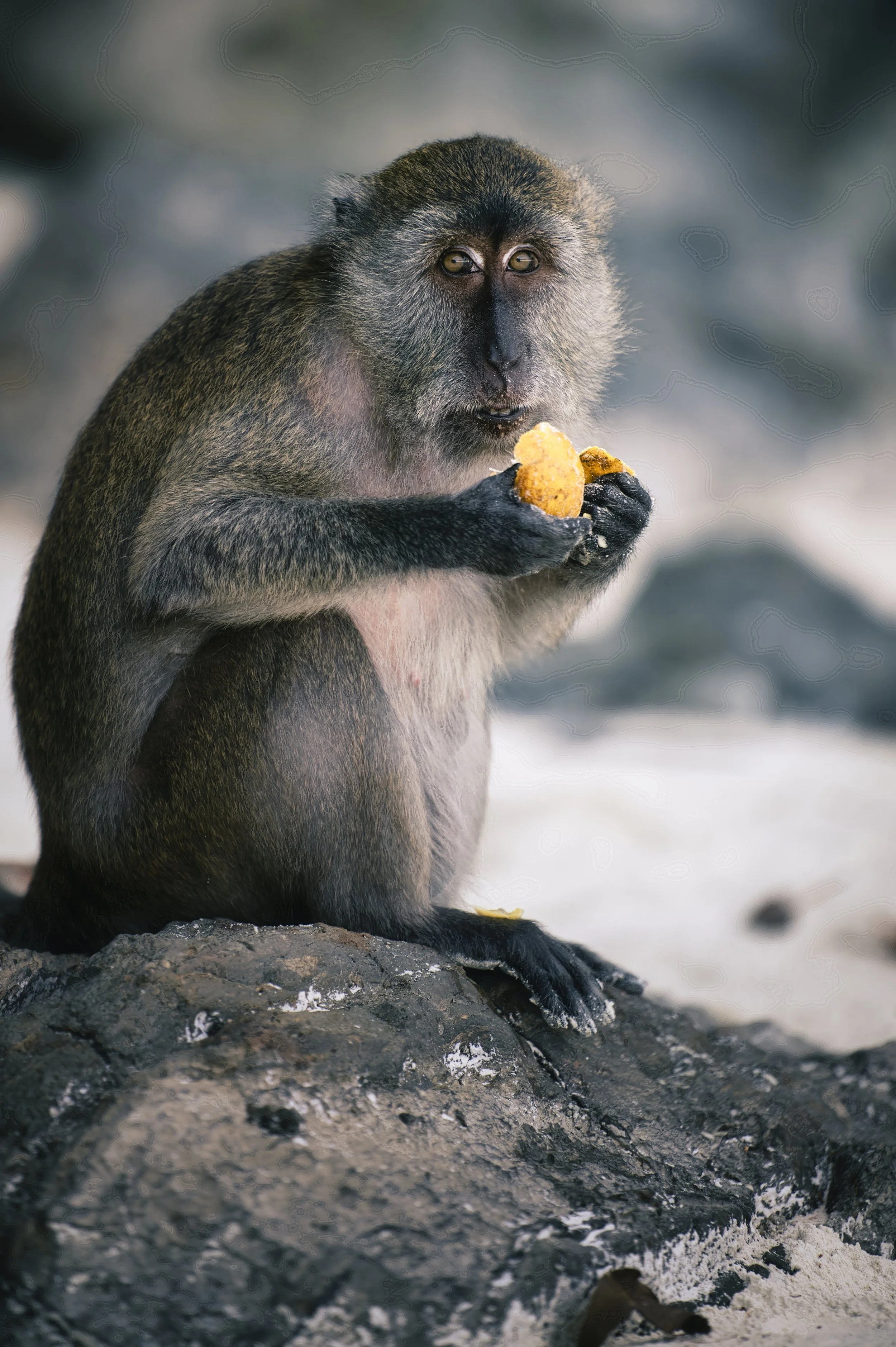 Snack time