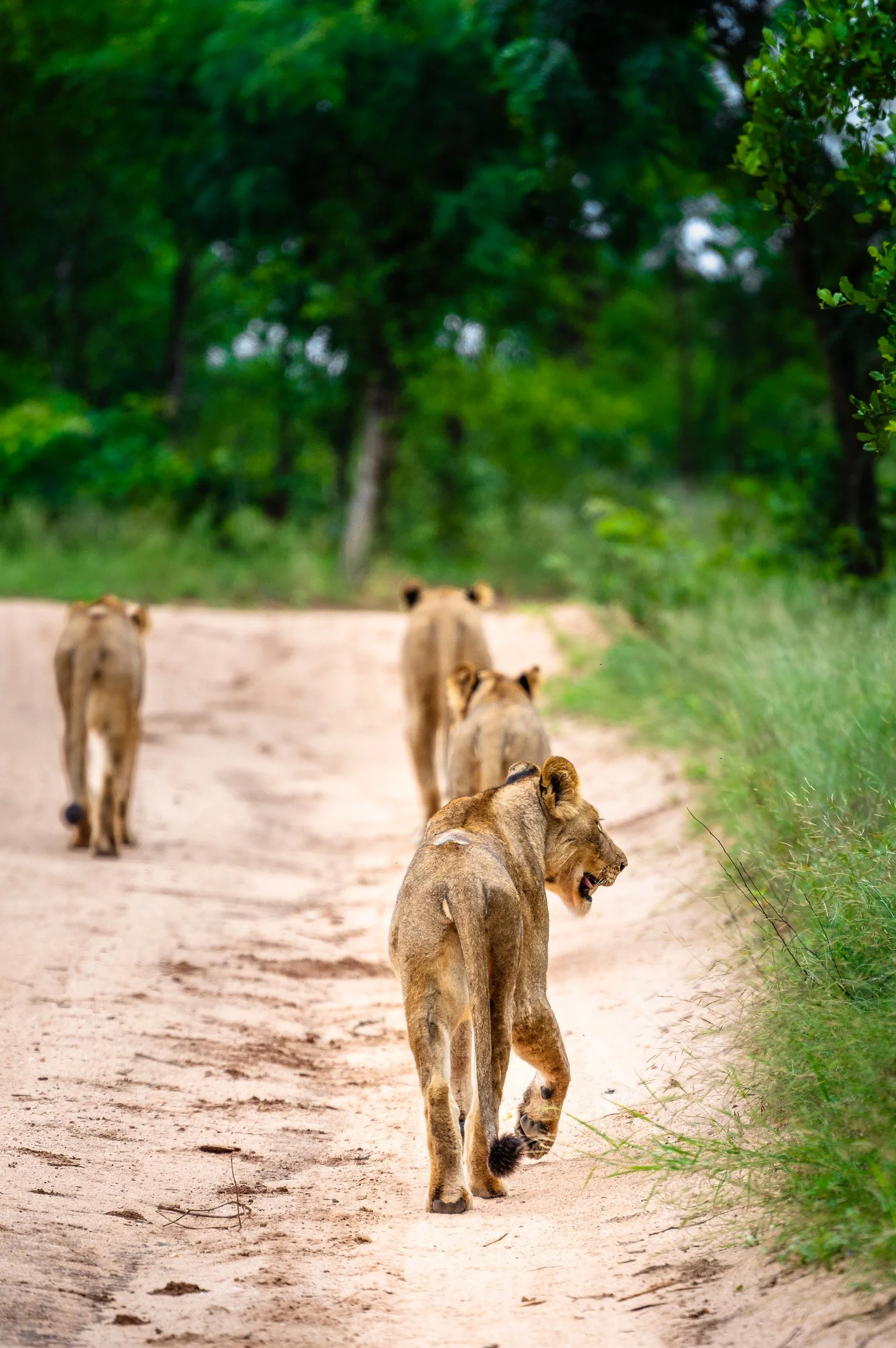 Making our way