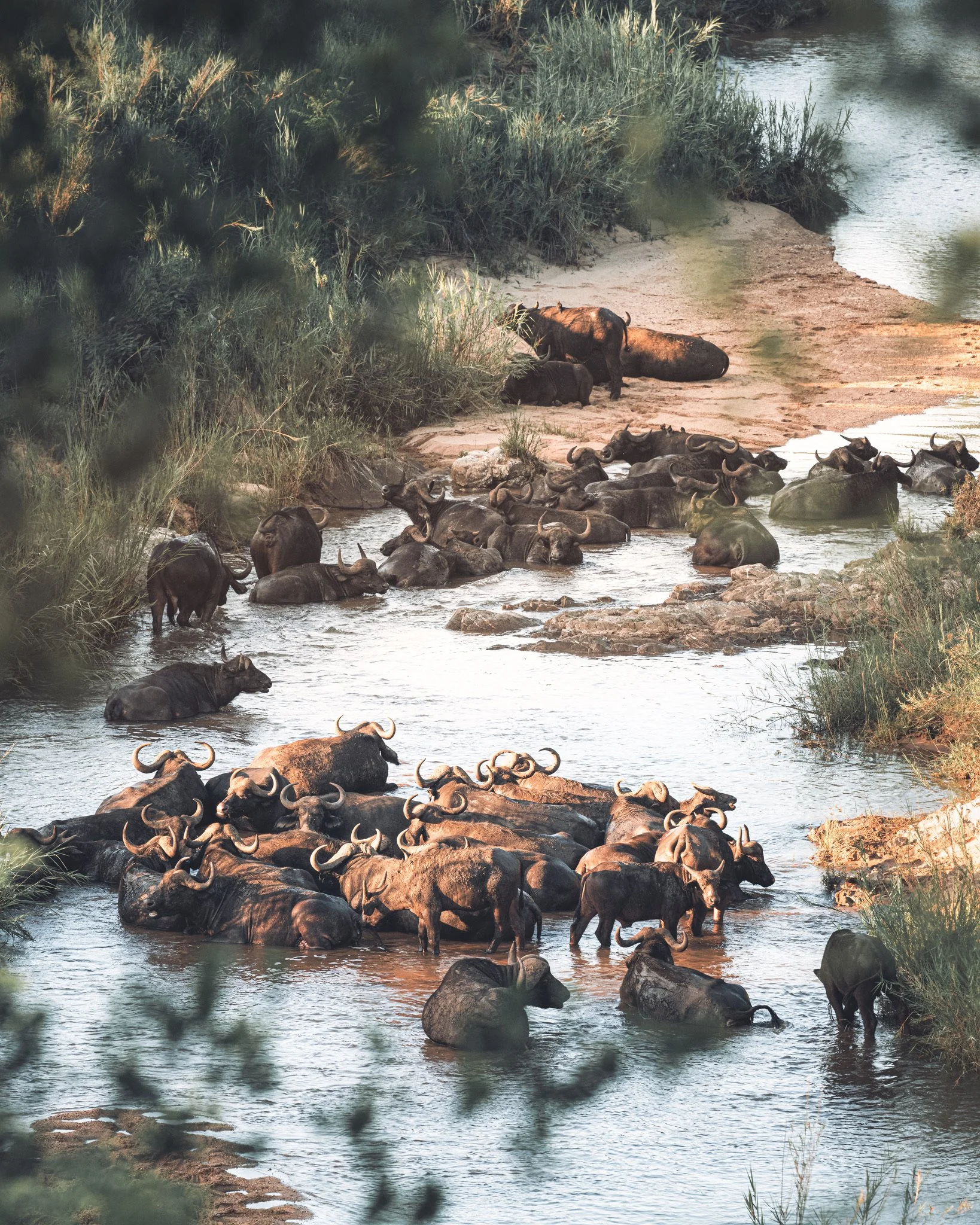 River crossing
