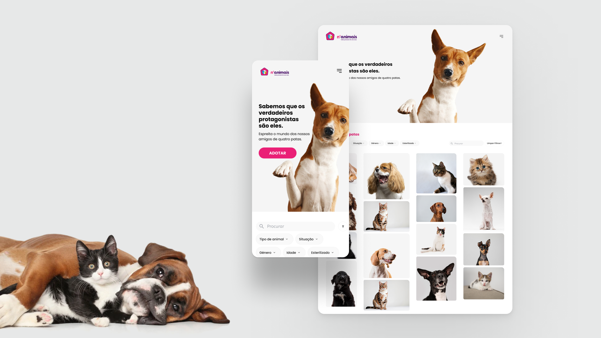 n'animais - branding 2 (1).png