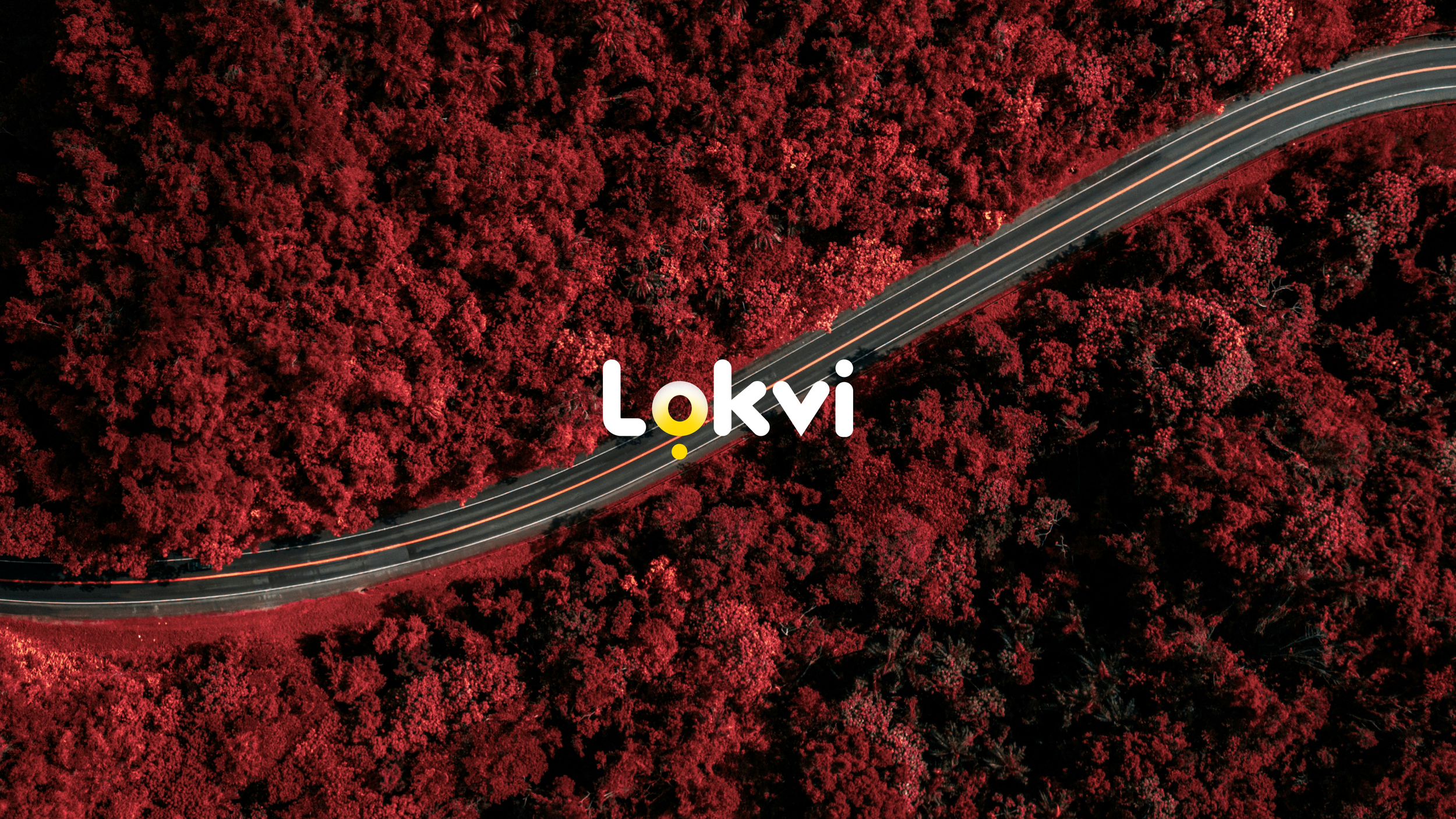 Lokvi