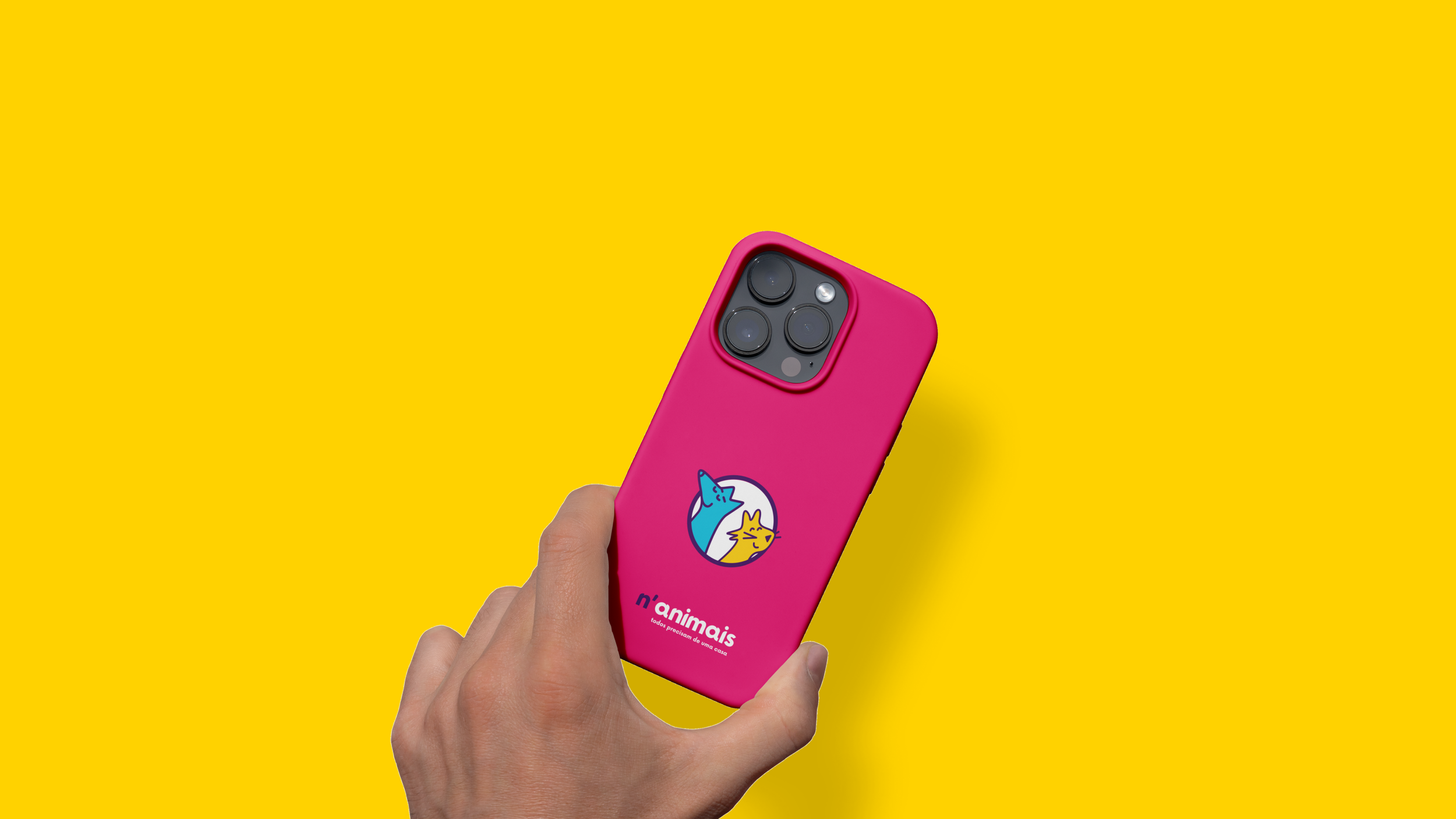n'animais - branding 5.png