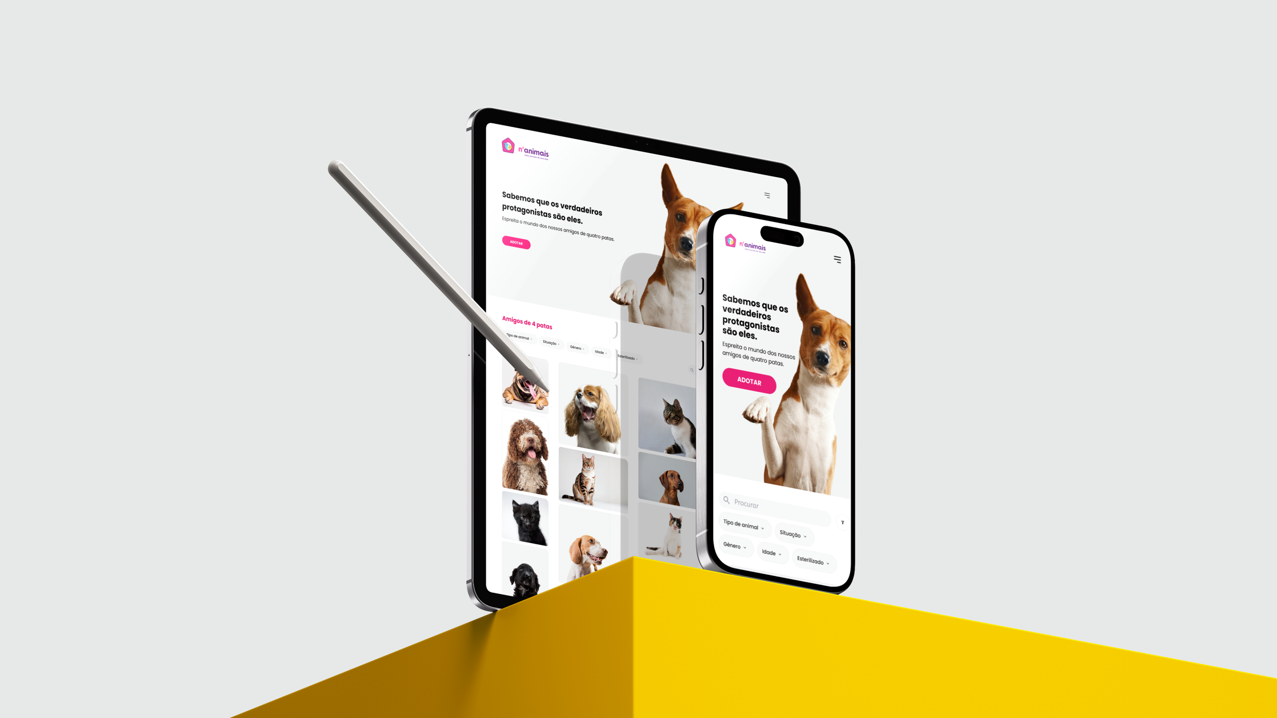 n'animais - branding 3.png