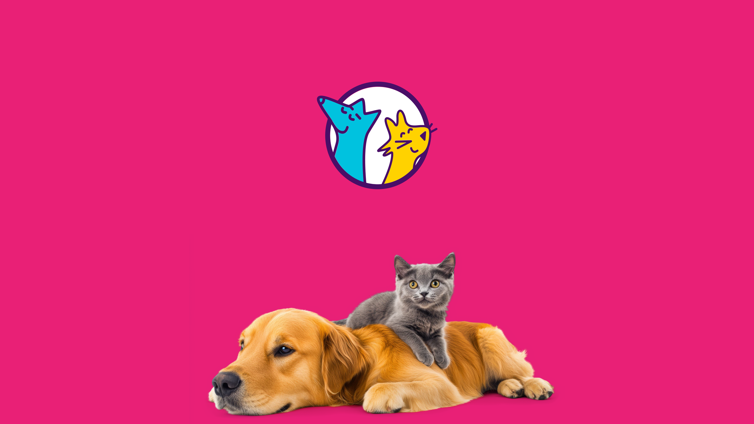 n'animais - branding 6 (1).png