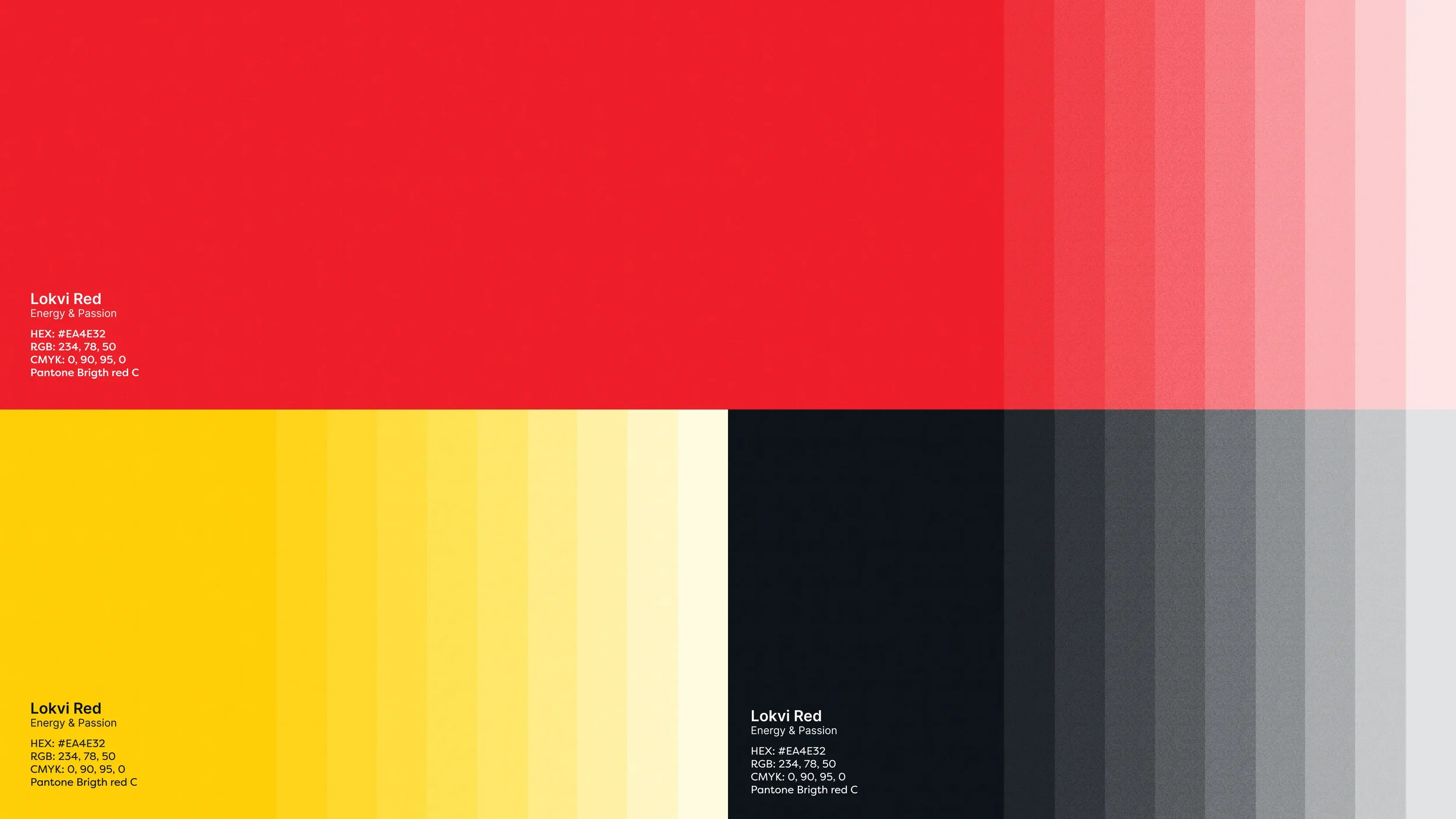 Lokvi Branding 2 (2).webp