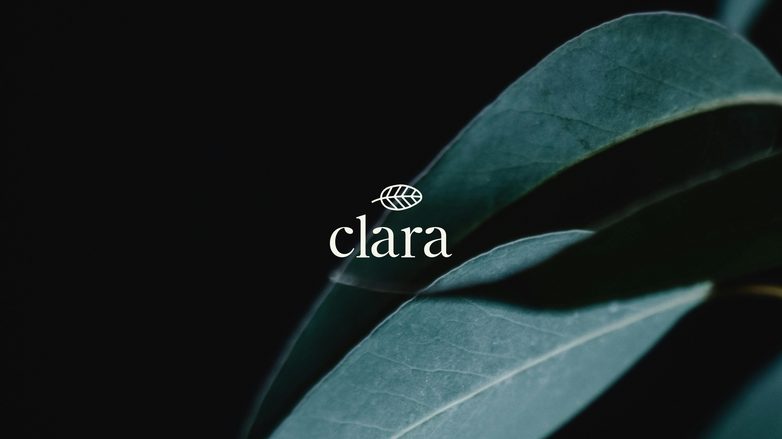 Cver Clara-01.png