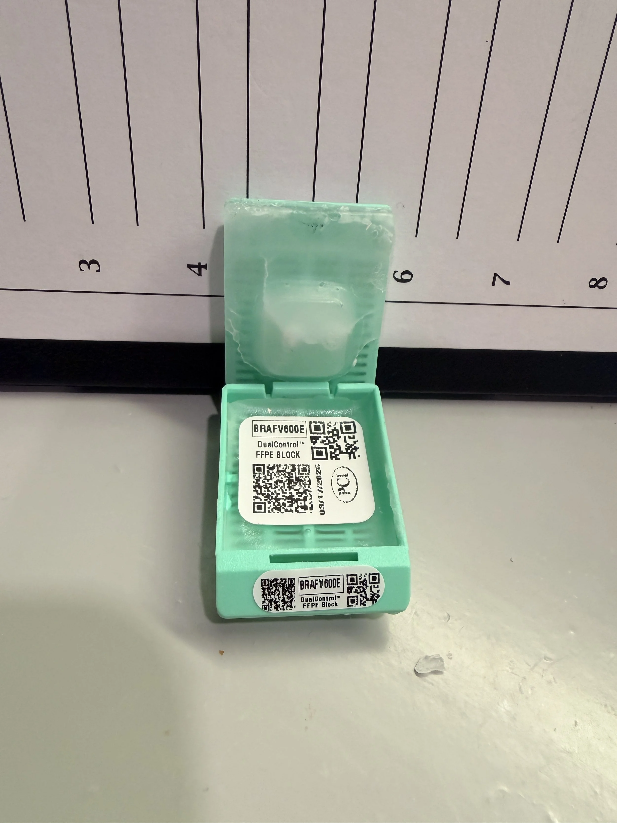 BRAFV600E DualControl™ FFPE block