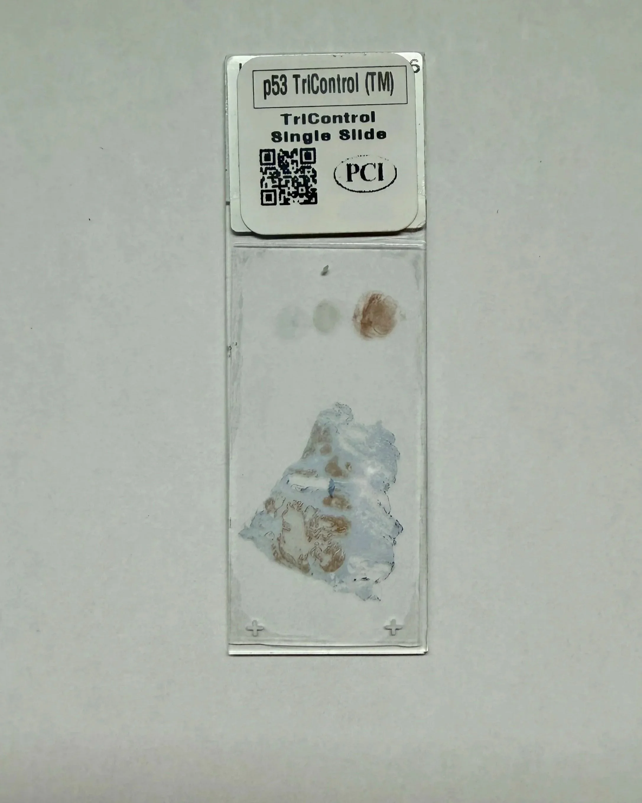 p53 TriControl™ Single Slide