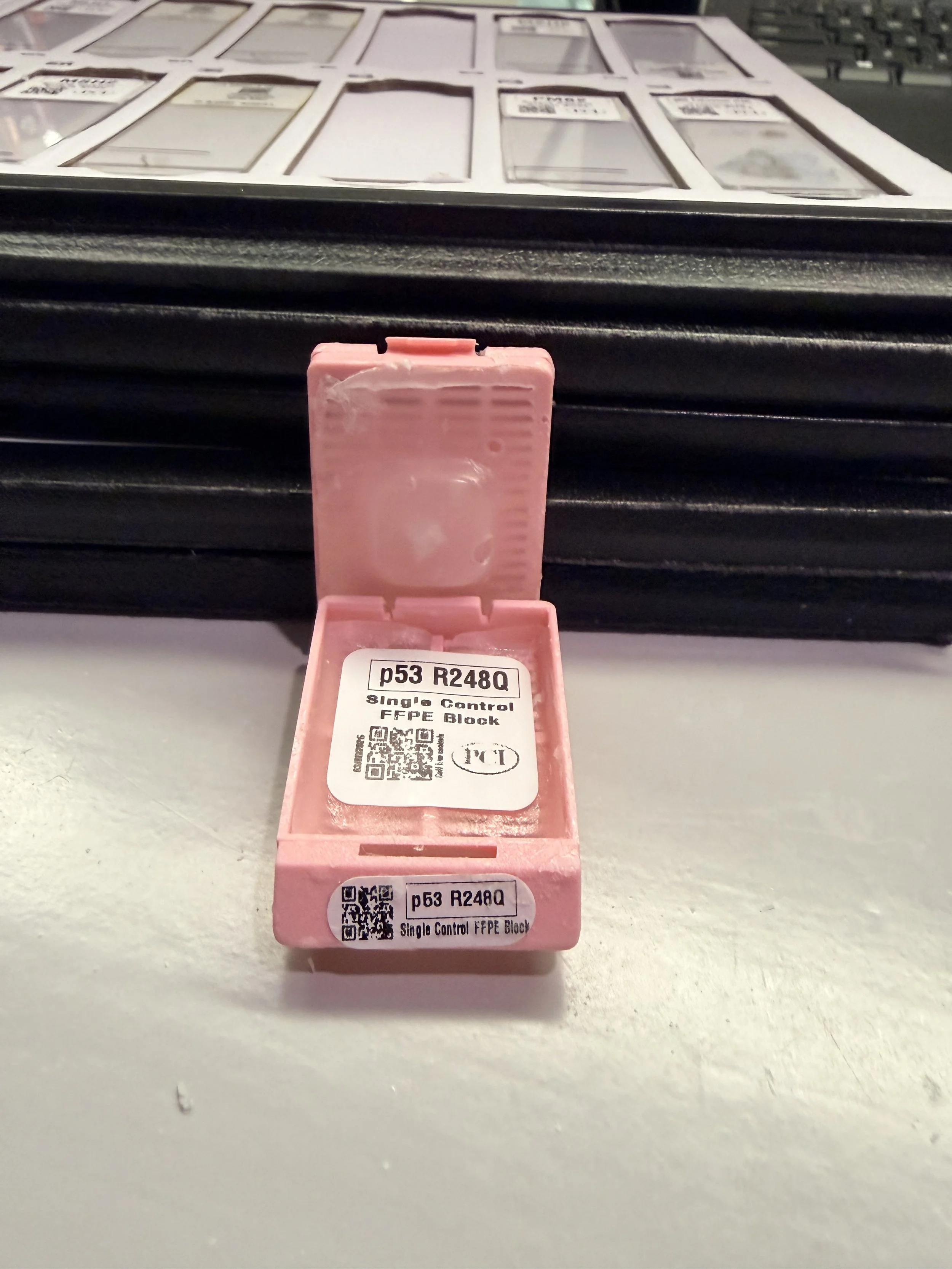 p53 (R248Q) Single control FFPE block