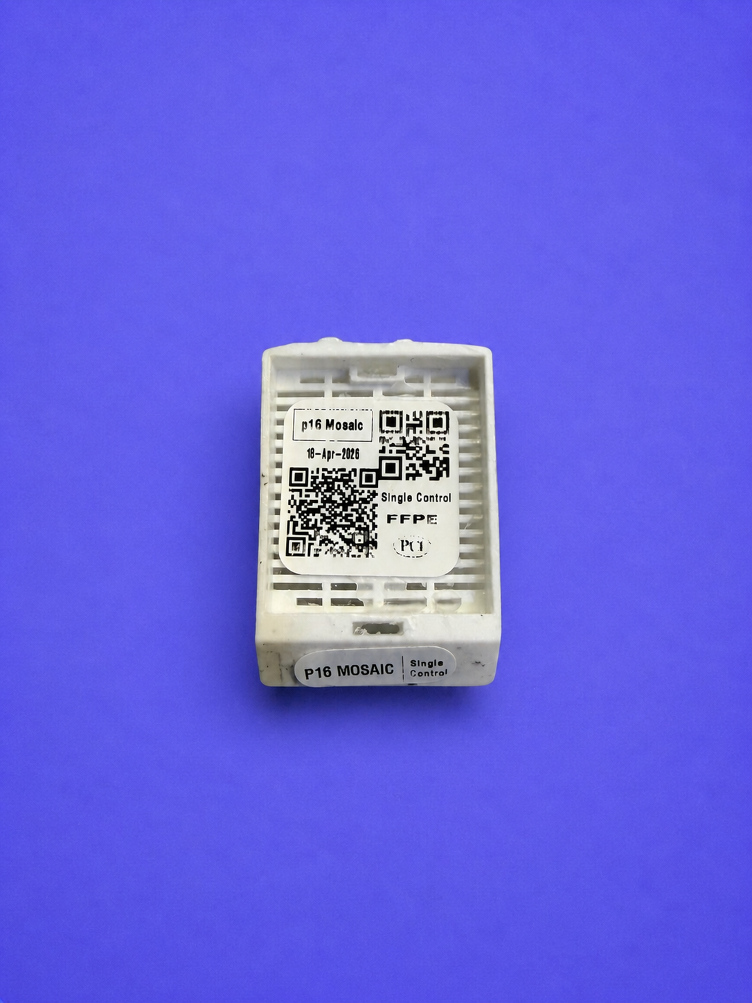 p16 Heterogenous SINGLE CONTROL FFPE BLOCK