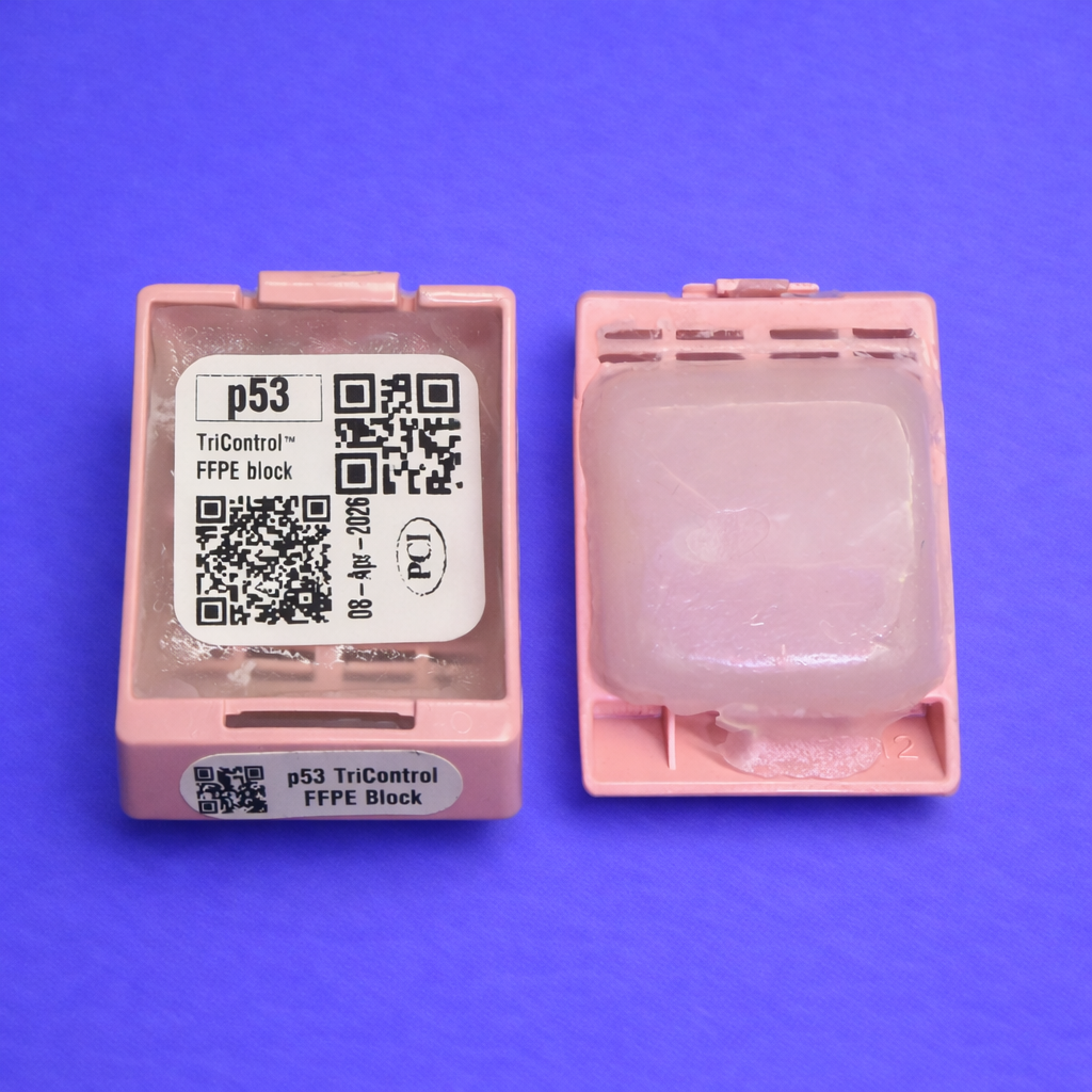 FFPE tissue blocks on purple background.png