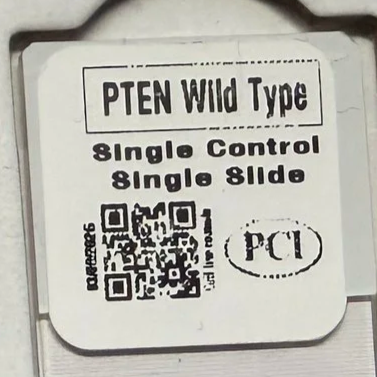 PTEN Wild type Single Control Single Slide
