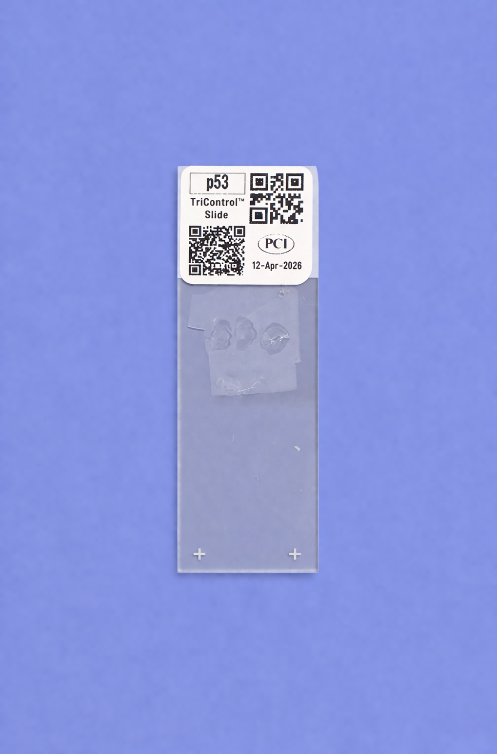 p53 TriControl™ Single Slide