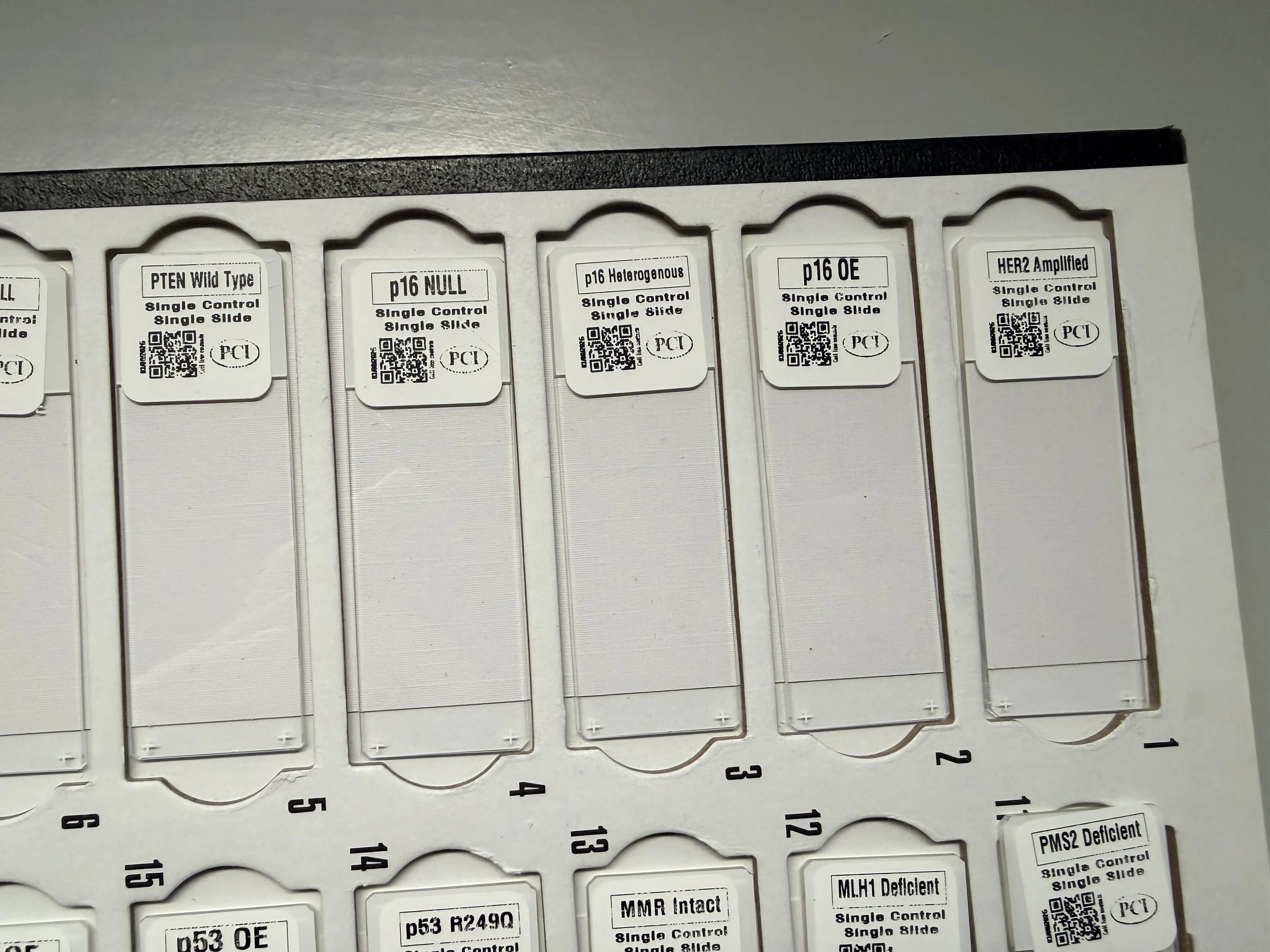 p16 Heterogeneous.JPG