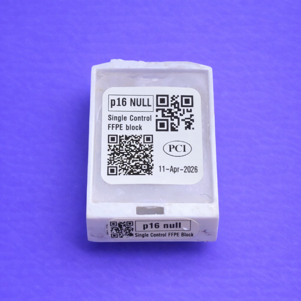 p16 NULL SINGLE CONTROL FFPE BLOCK