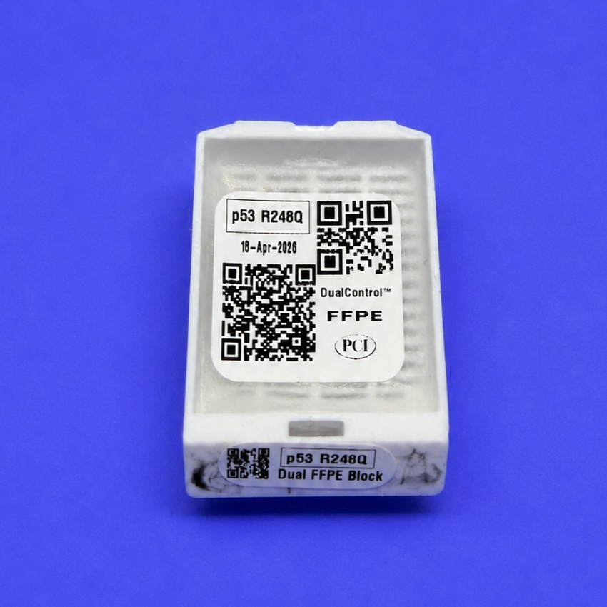 p53 (R248Q) DualControl™ FFPE BLOCK