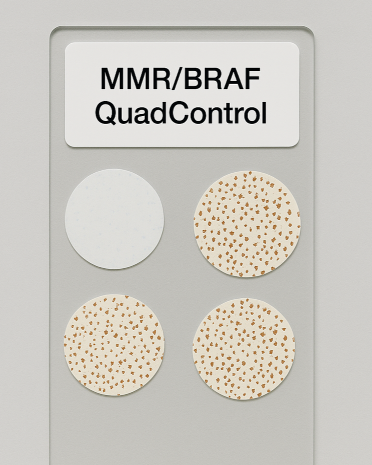 A panel with four circular samples, labeled 'MMR/BRAF QuadControl,' consisting of one plain white circle and three patterned circles with tan spots on light beige background.