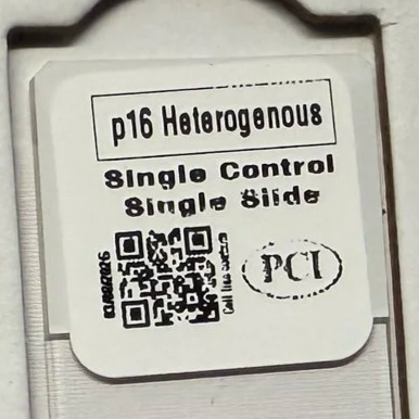 p16 Heterogenous Single Control Single Slide