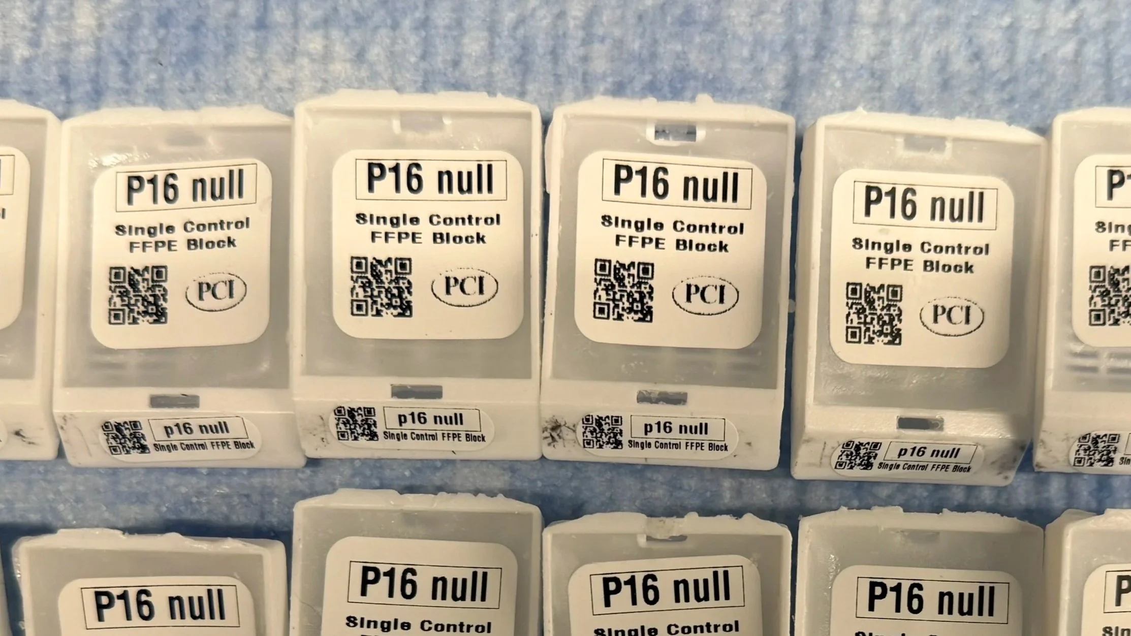 p16 NULL SINGLE CONTROL FFPE BLOCK