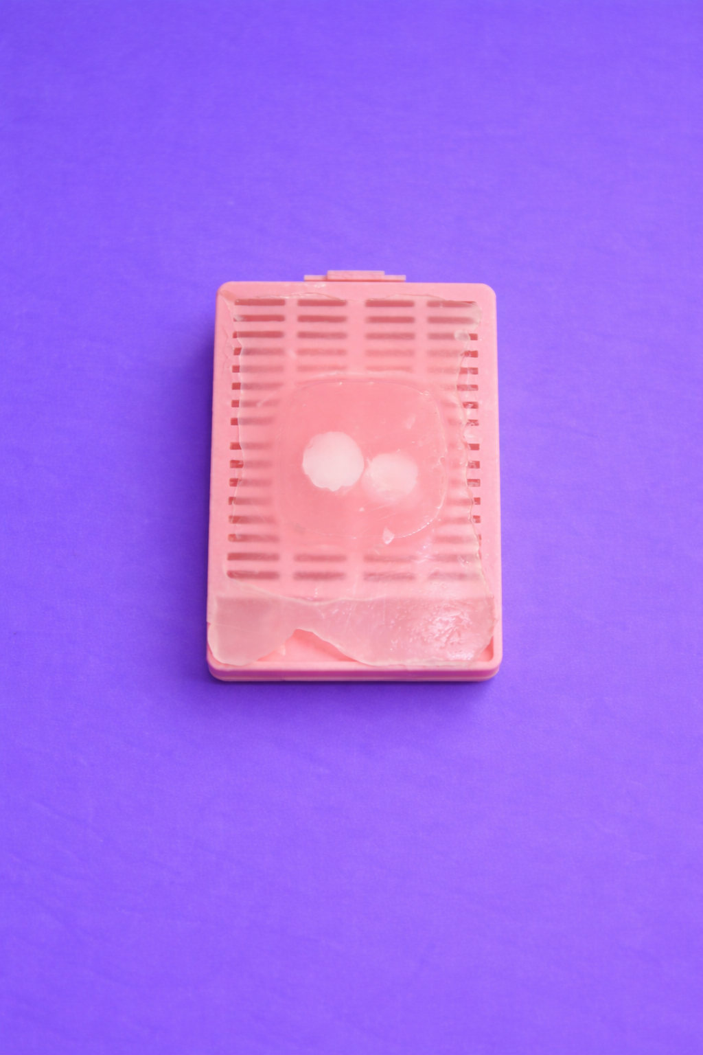 FFPE tissue cassette on purple backdrop.png