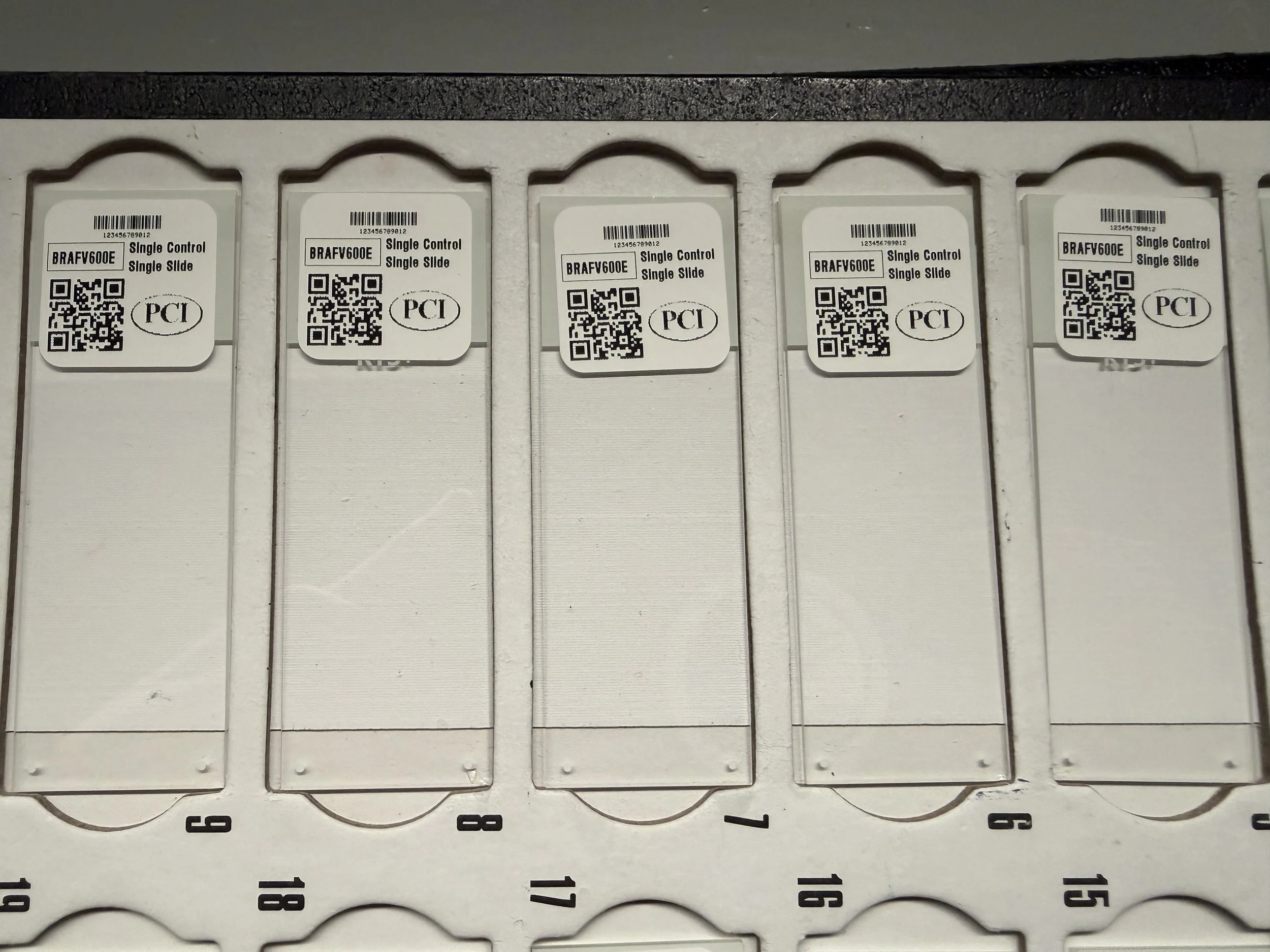 BRAFV600E single congrol single slide.JPG