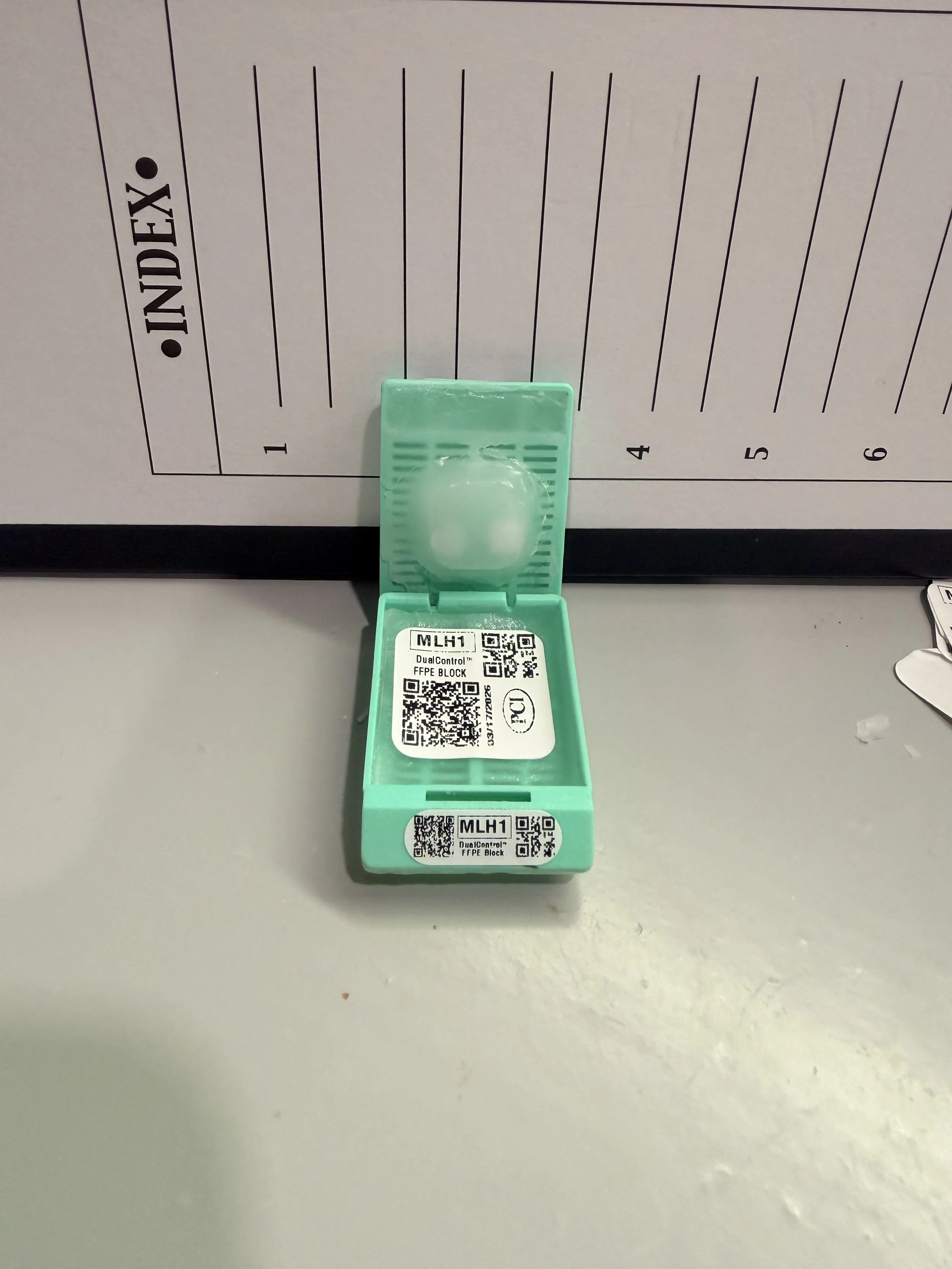 MLH1 DualControl™ FFPE BLOCK