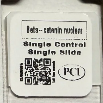 Beta-catenin Single Control Single Slide