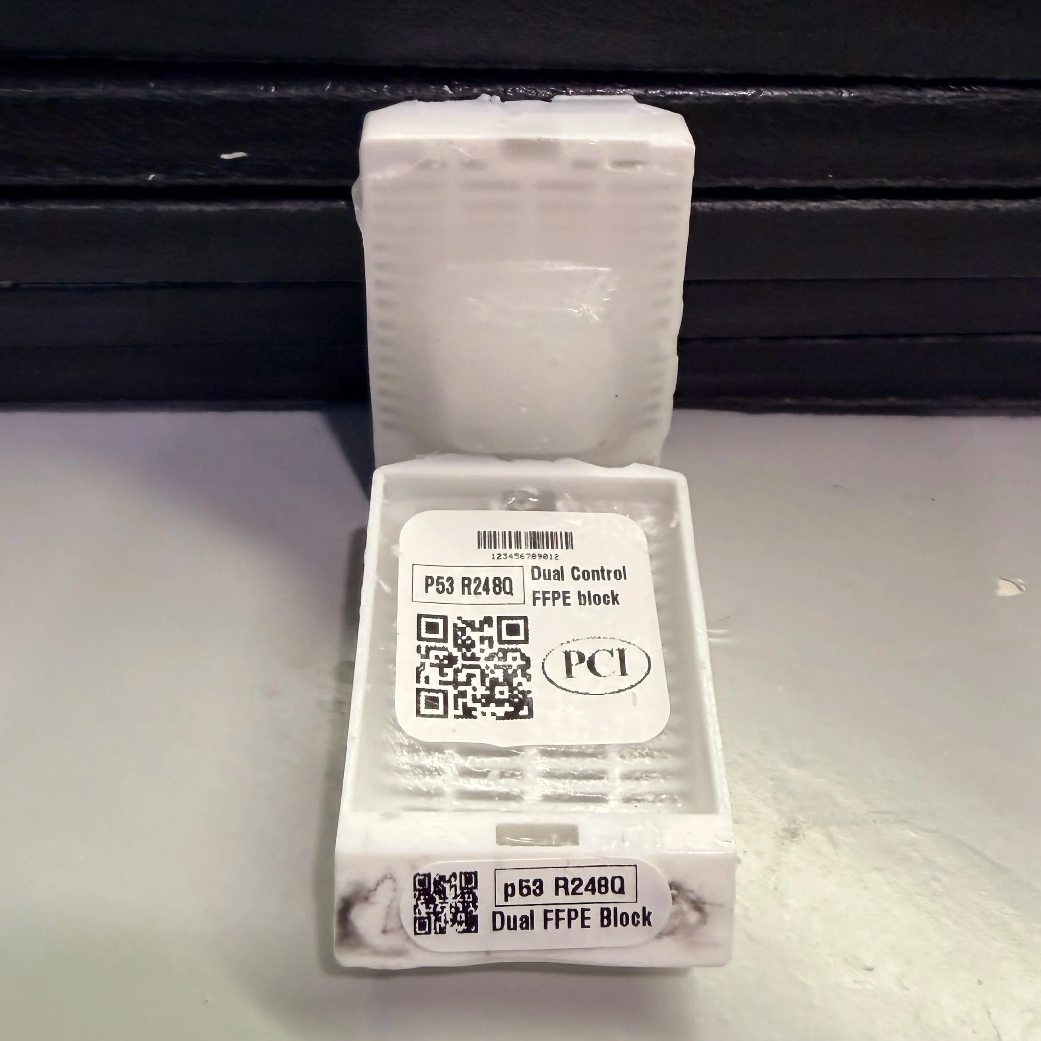 p53 (R248Q) DualControl™ FFPE BLOCK