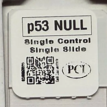 p53 NULL Single Control Single Slide