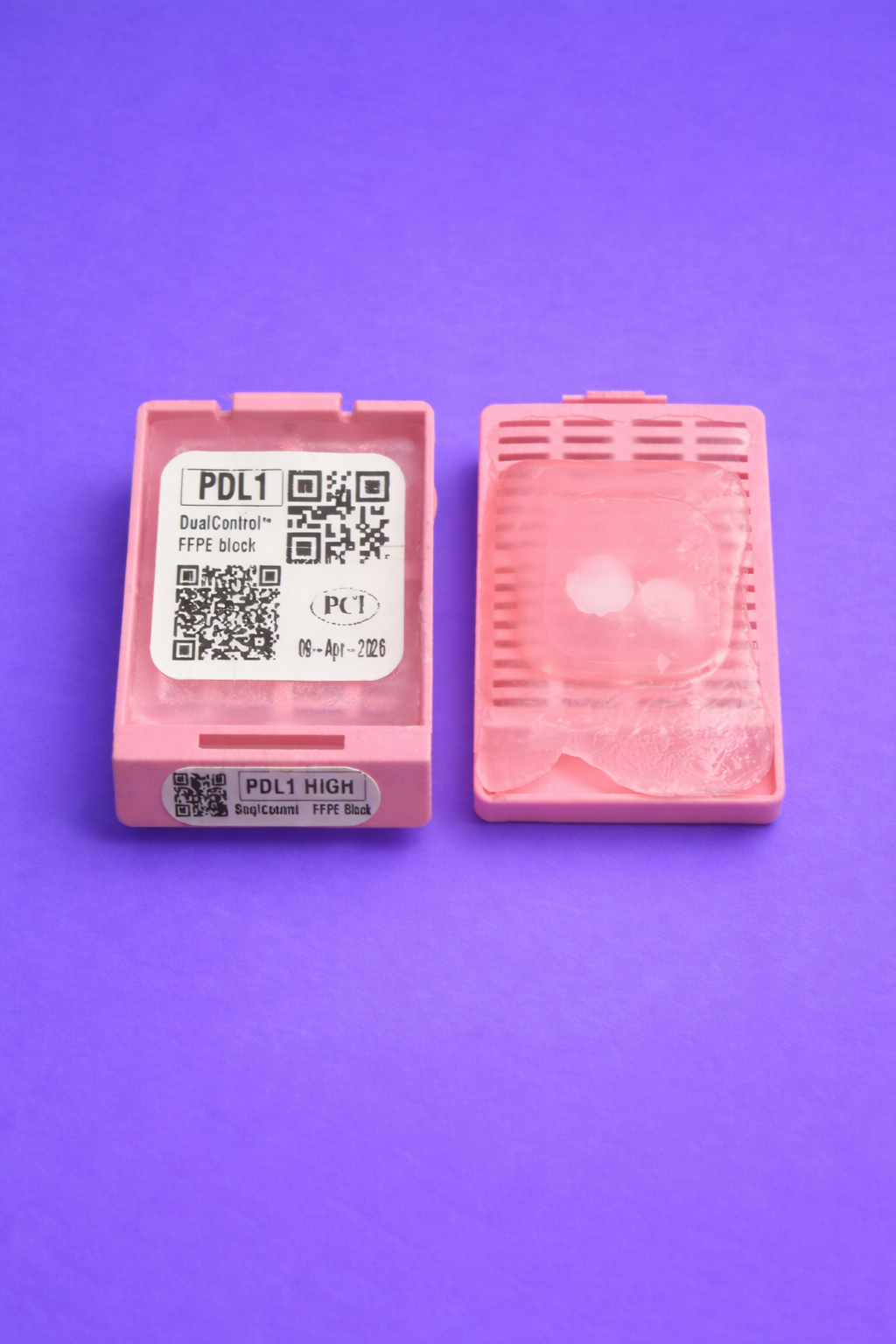 Close-up of FFPE block cassettes.png