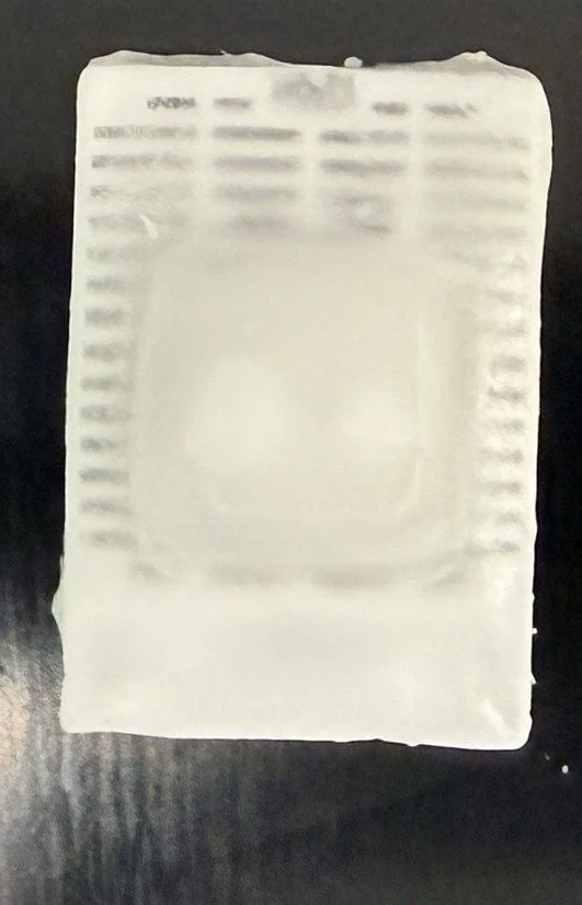 p53 DualControl™ - Dualcontrol™ FFPE block (OE and WT)