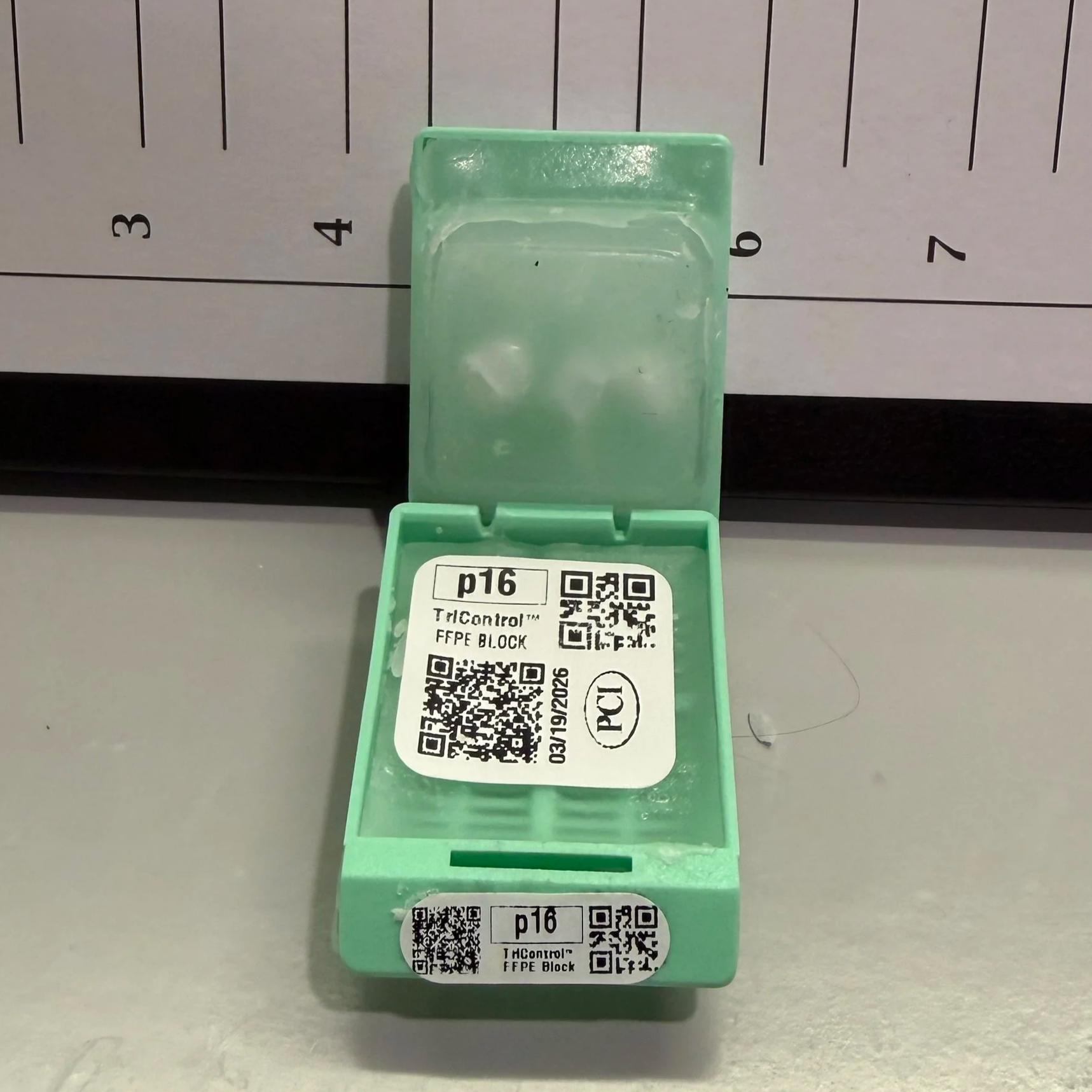 p16 TriControl™ FFPE block