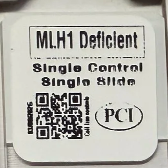 MLH1 Deficient Intact Single Control Single Slide