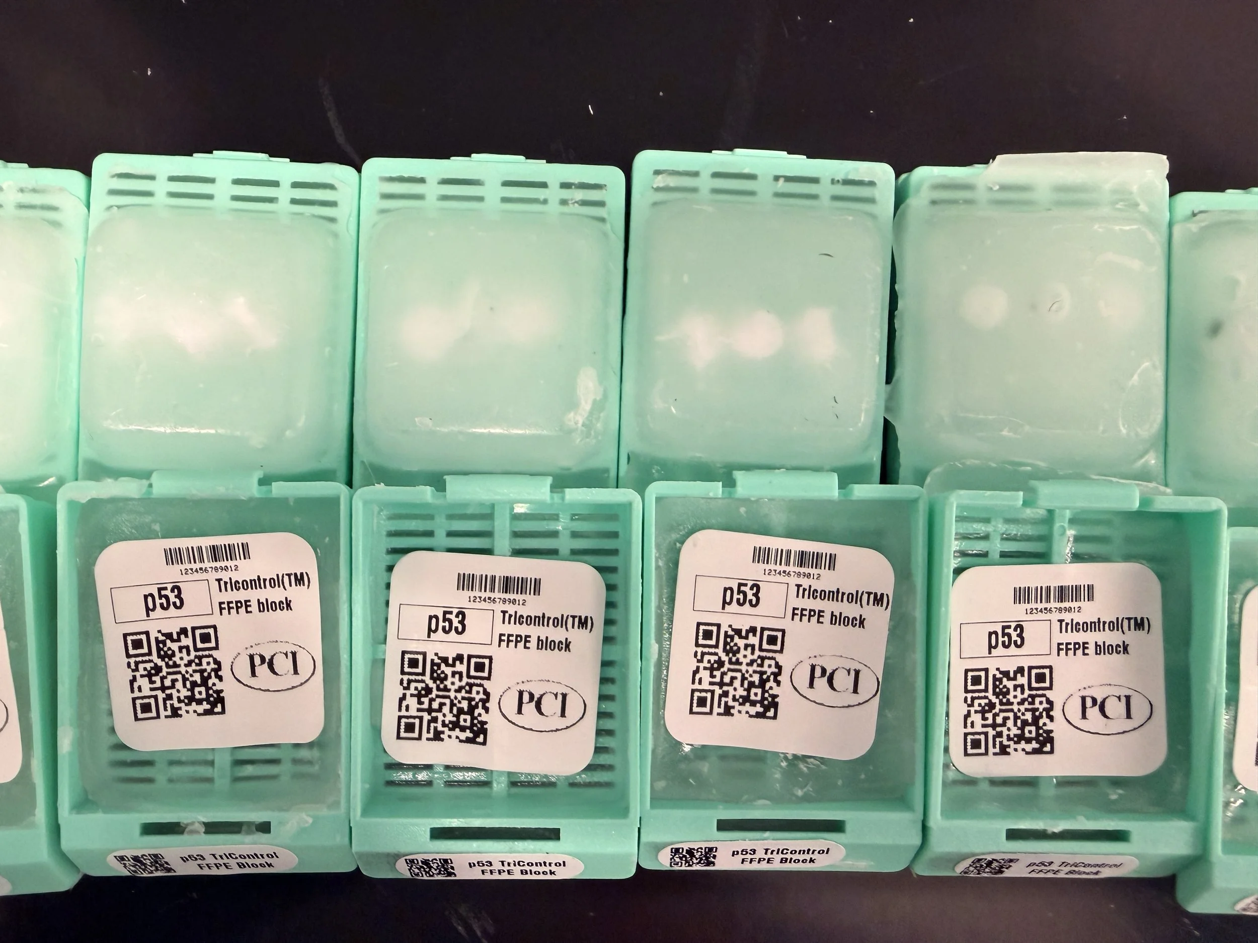 p53 TriContorl FFPE block images.JPG