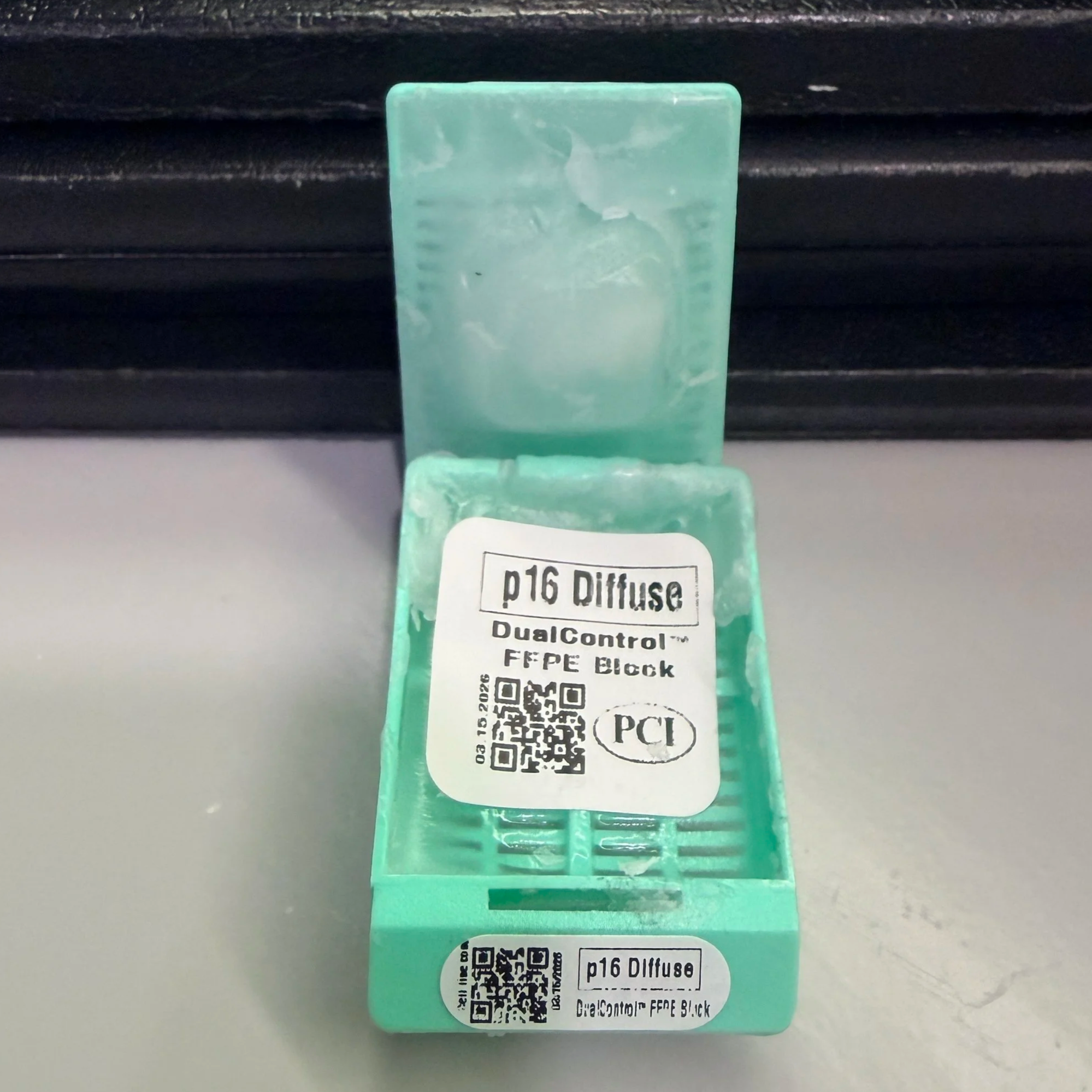p16+Diffuse+dualcontrol+FFPE+block+demo.png