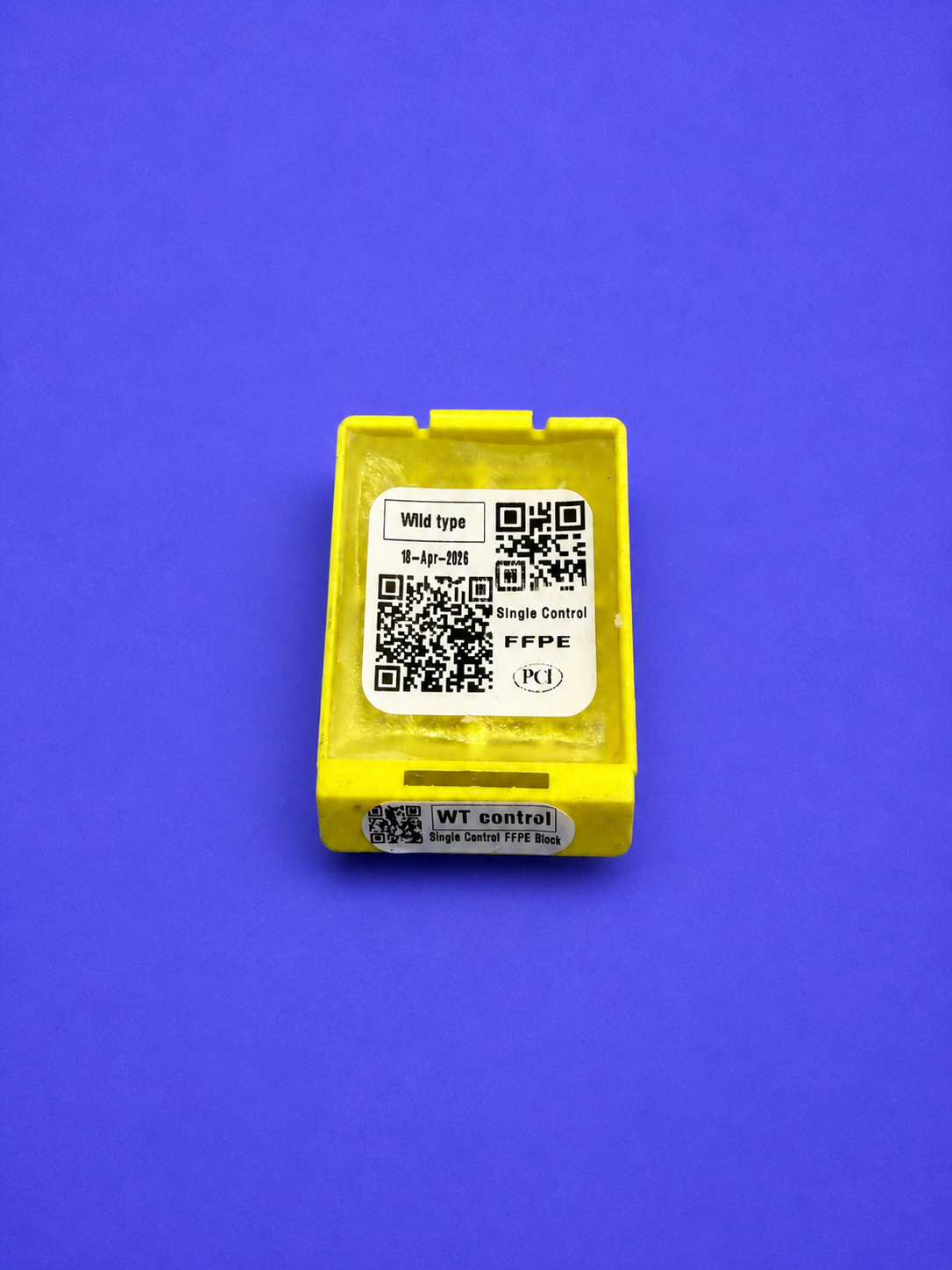 Wild type control SINGLE CONTROL FFPE BLOCK