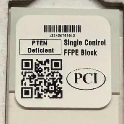 PTEN deficient Single Control Single Slide