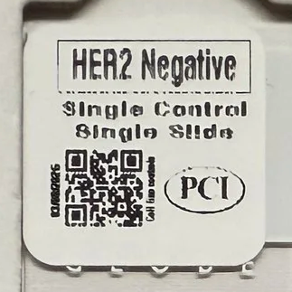 HER2 Negative Single Control Single Slide