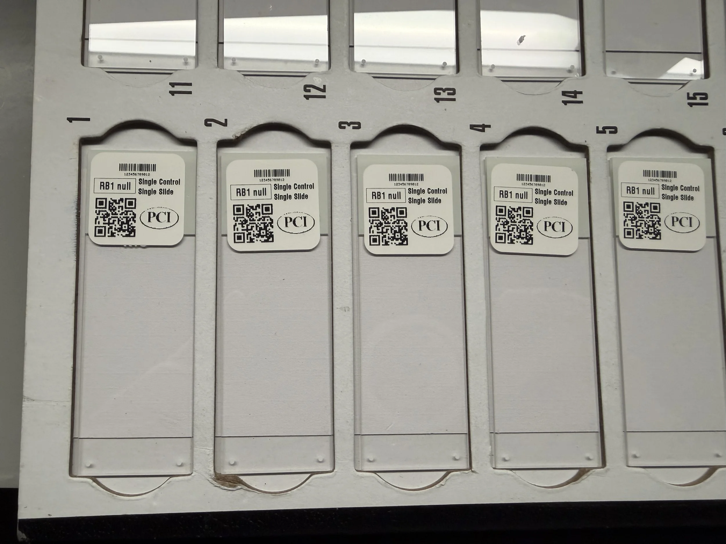 RB1null single control single slide.JPG