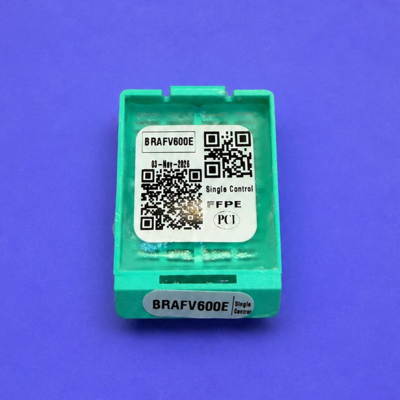 BRAFV600E Single control FFPE block