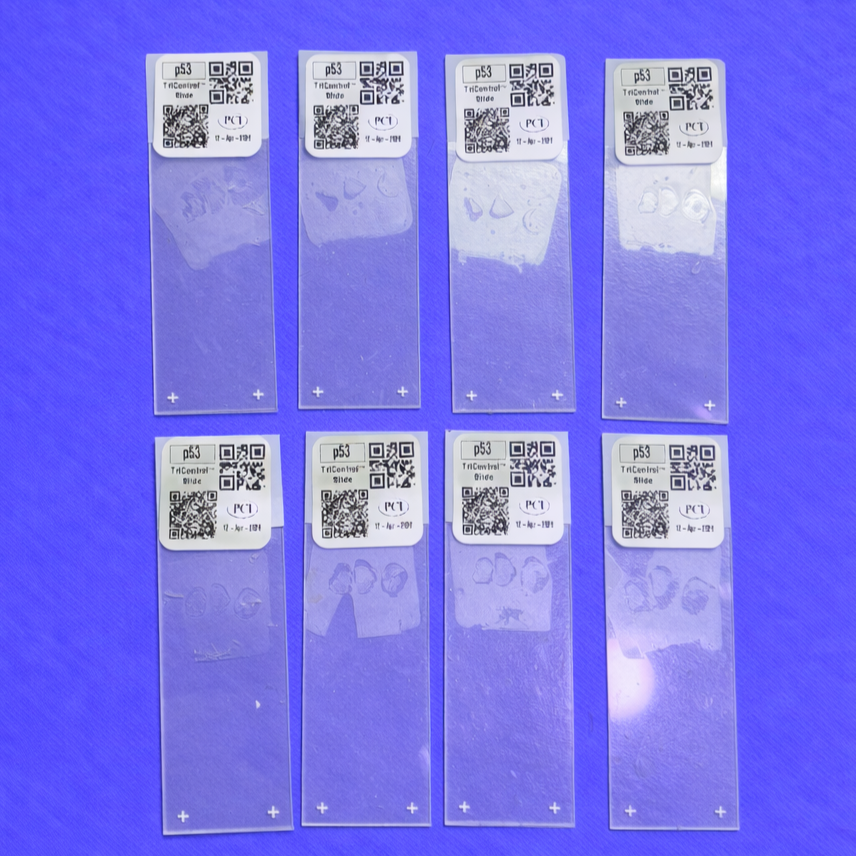 Microscope+slides+on+purple+background.png
