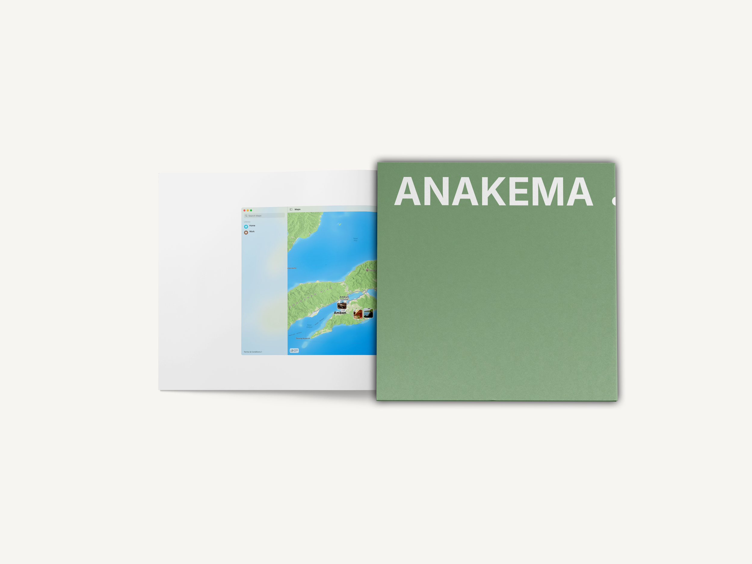 Vinyl+Zine front.png