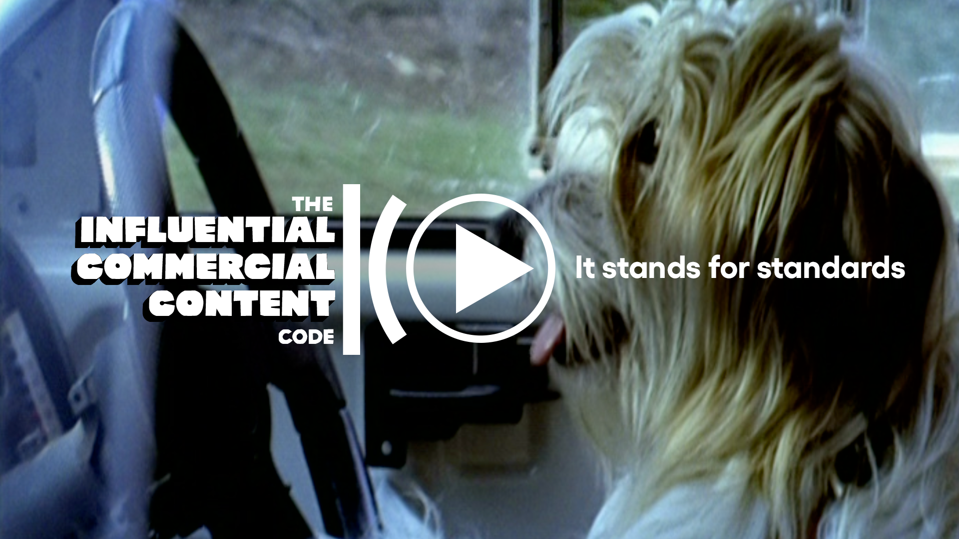 Film thumbnail.png