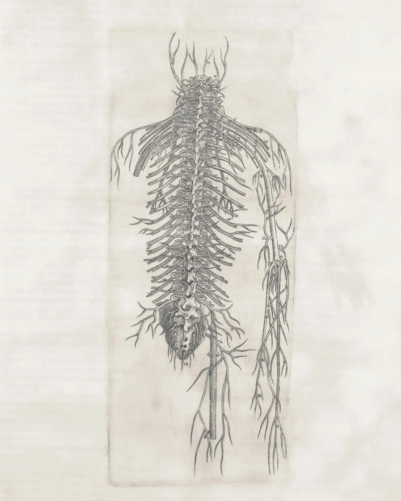 What Is Nervous System Dysregulation? 