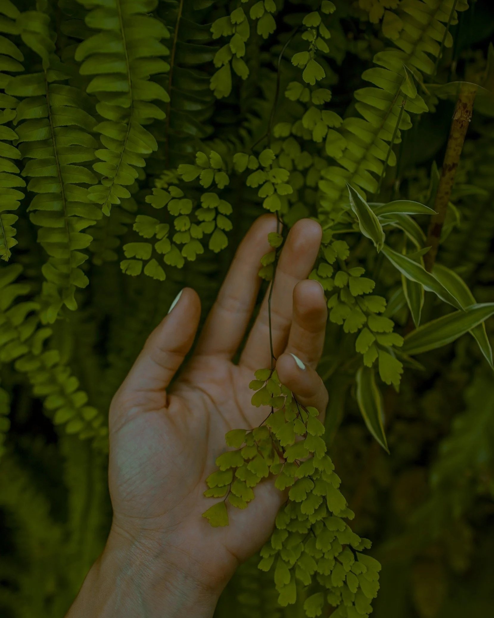 What Is Somatic Healing?