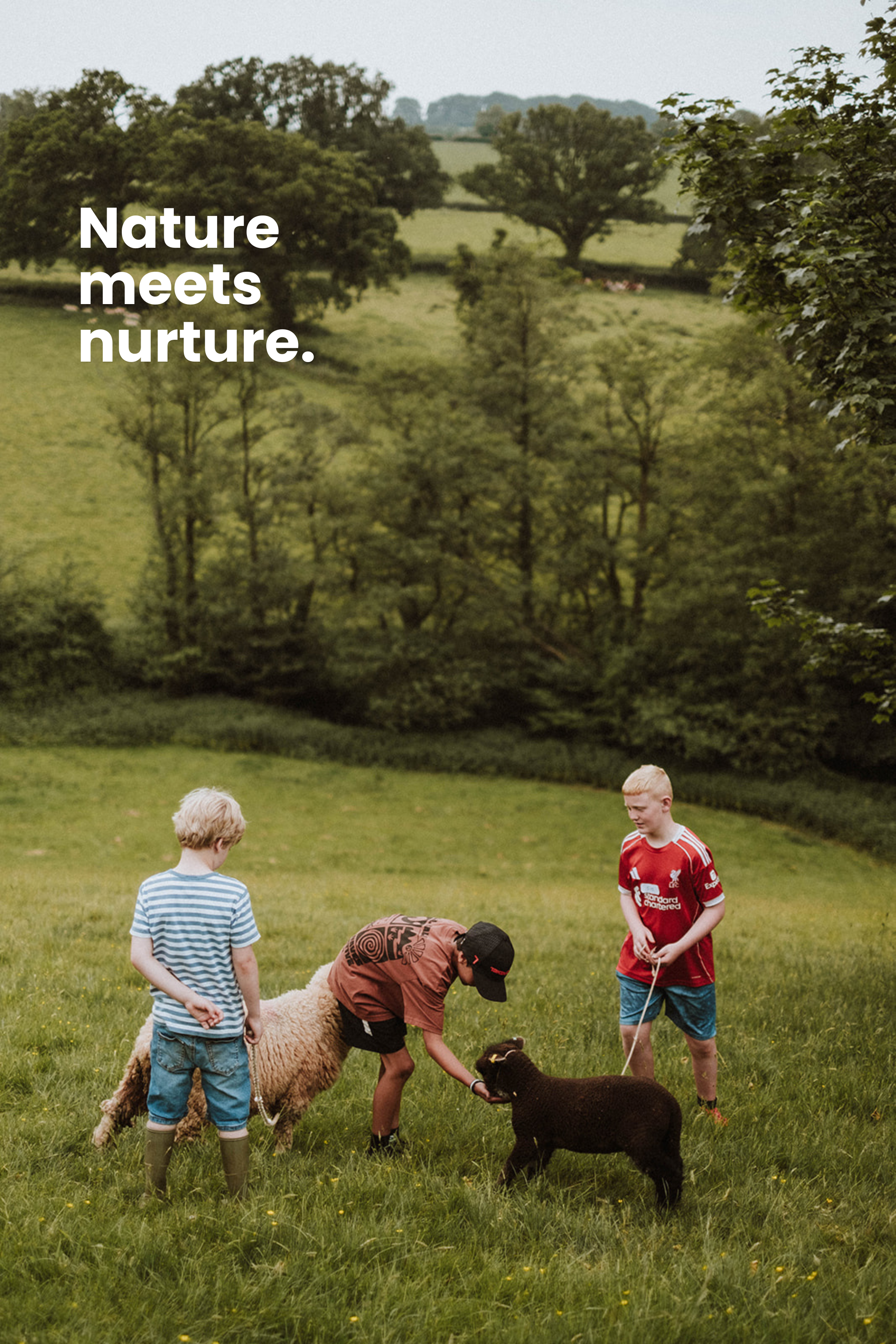 nature vs nature.png
