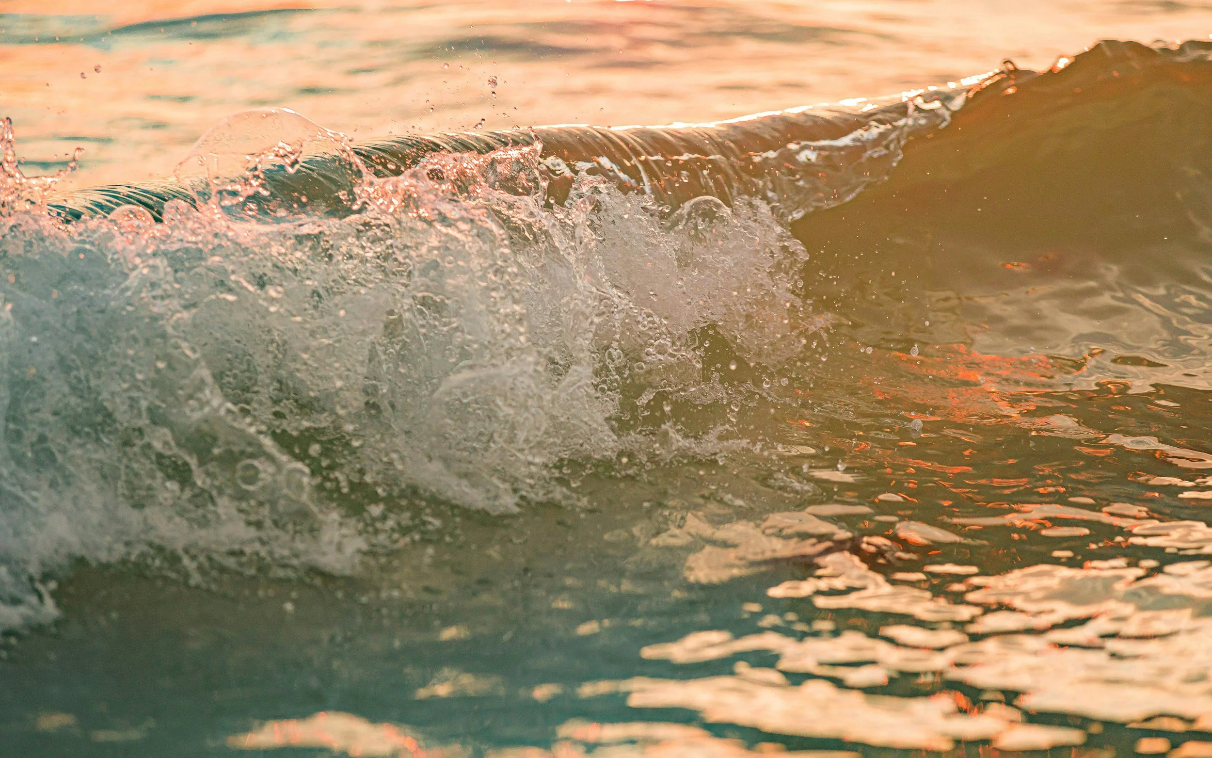 unsplash-image-ZzUDAhXMrFA.jpg