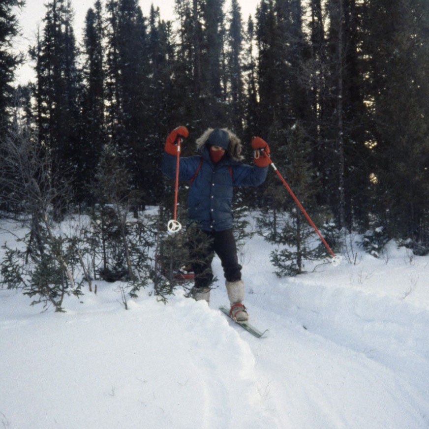 Scott punching through the trees. (image 6 of 18)