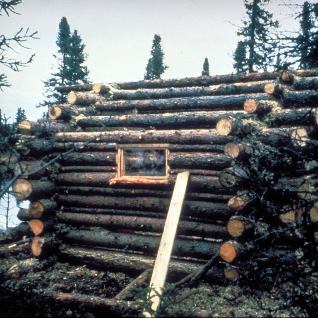Cabin now entirely "framed" and ready for roof logs. (image 17 of 32)