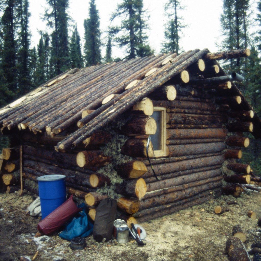 Another shot of the cabin with all roof logs on - we were procrastinating cutting in that second window. (image 21 of 32)